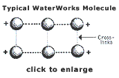 How WaterWorks Works -- Typical WaterWorks Molecule